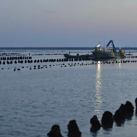 Maison 4 Pers à 400m De La Des Bélugas, Animaux Admis - Fr-1-194-429 *