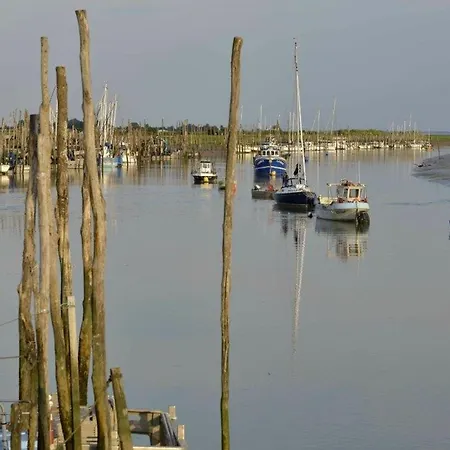 Hébergement de vacances Maison 4 Pers à 400m De La Des Bélugas, Animaux Admis - Fr-1-194-429