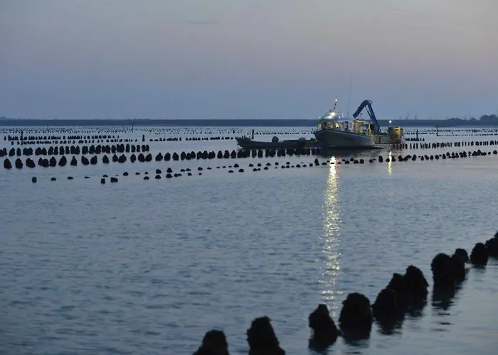 Maison 4 Pers à 400m De La Des Bélugas, Animaux Admis - Fr-1-194-429 *
