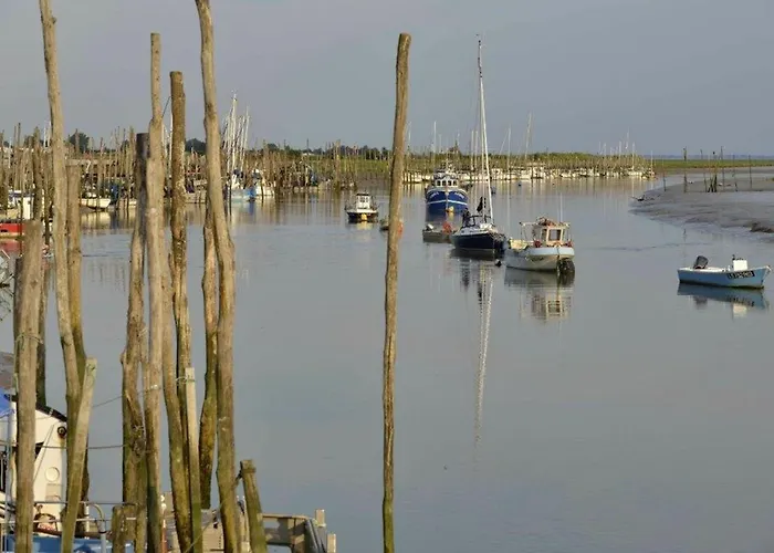 Hébergement de vacances Maison 4 Pers à 400m De La Des Bélugas, Animaux Admis - Fr-1-194-429